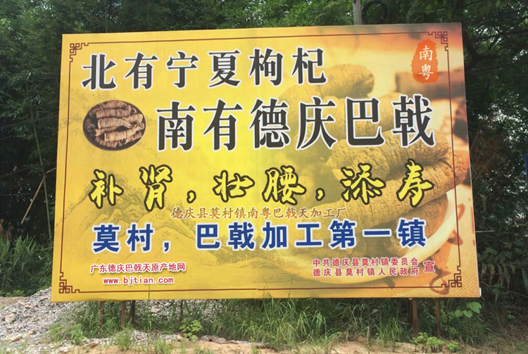 巴戟天加工***大镇