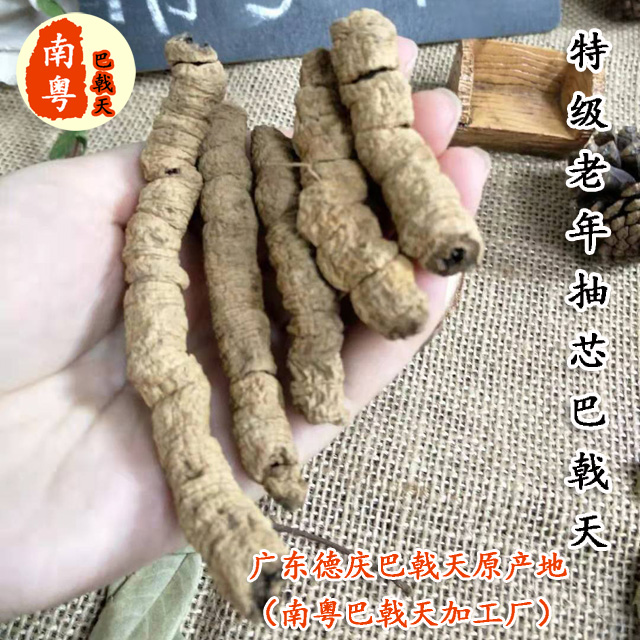 特级老年抽芯巴戟天