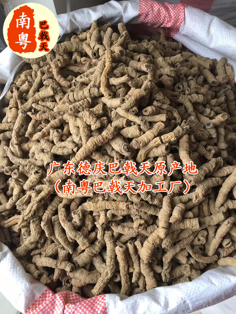 一级抽芯巴戟天肉