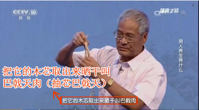 巴戟天必须要抽芯