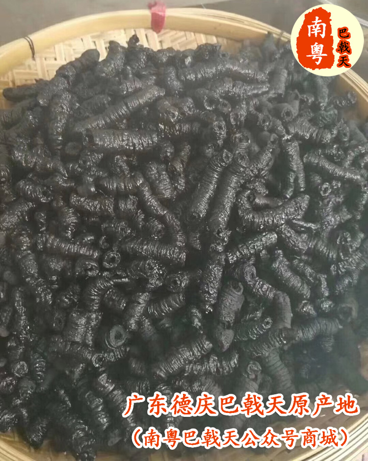 巴戟天原产地传统工艺流程
