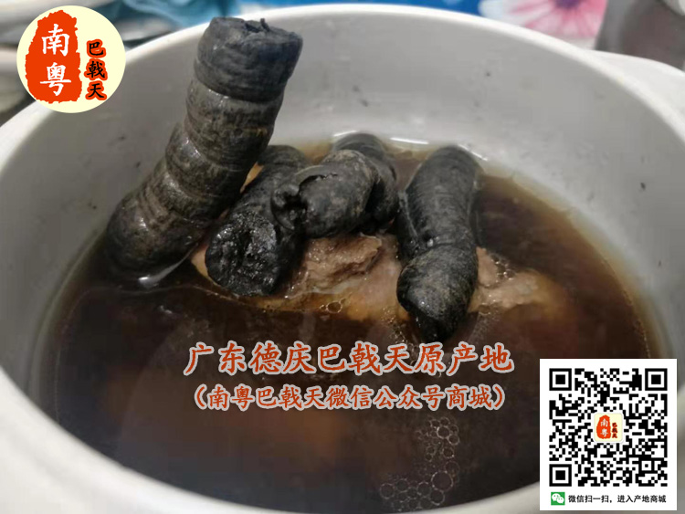 九蒸九晒巴戟天煲汤 九蒸九晒巴戟天煲汤