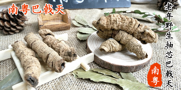 野生抽芯巴戟天