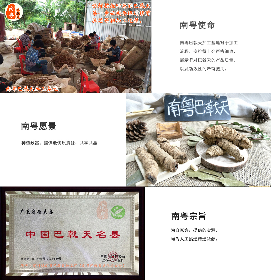 德庆南粤巴戟天产地文化
