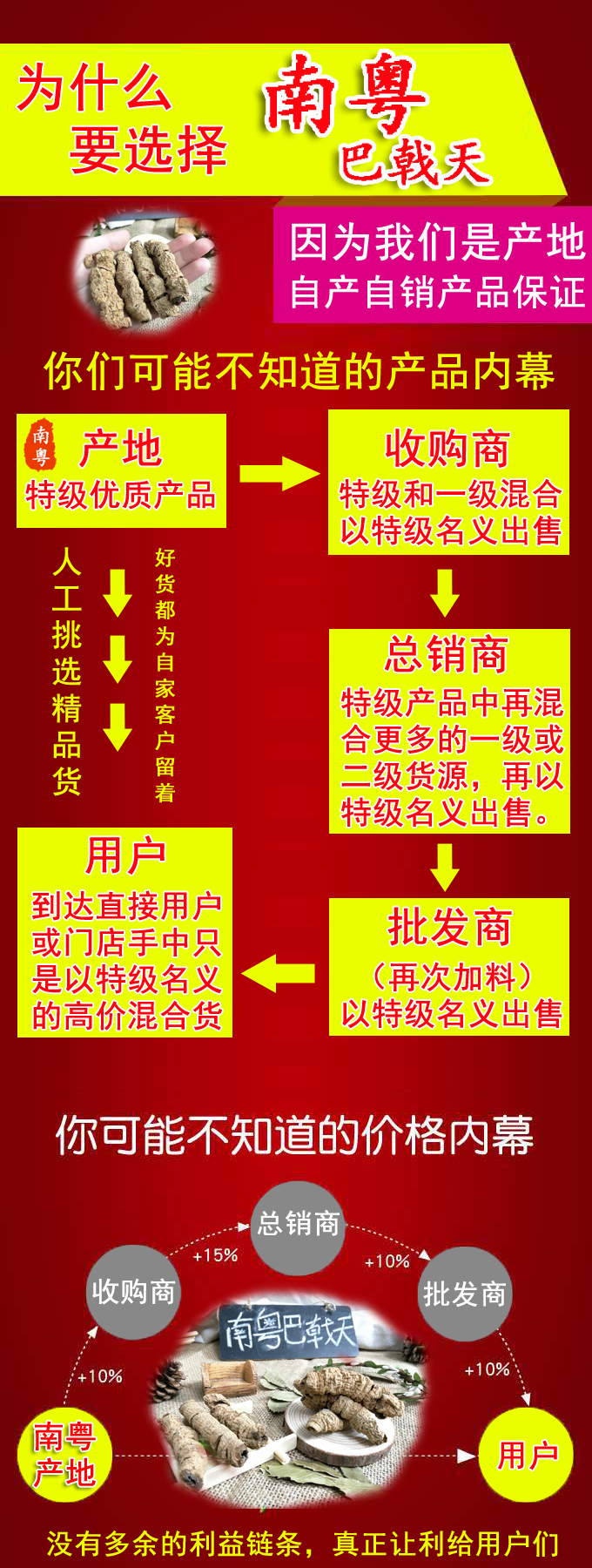 南粤巴戟天优势 南粤巴戟天优势