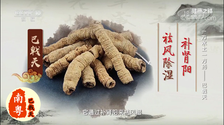 巴戟天补肾阳效果 巴戟天补肾阳效果