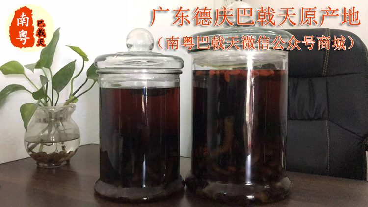巴戟天酒的功效及浸泡教程