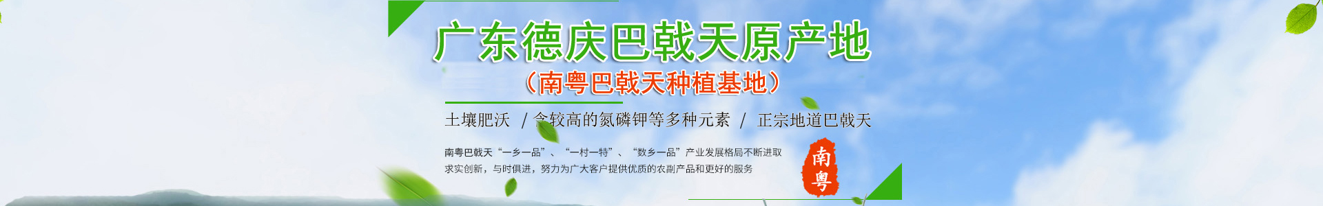 德庆县莫村镇南粤巴戟天加工厂
